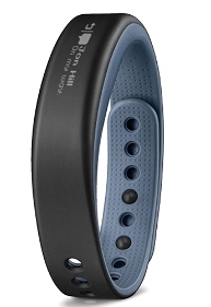  GARMIN       2015